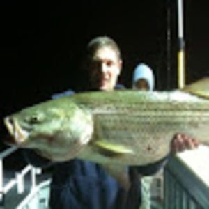 Meet your Posher, Paul